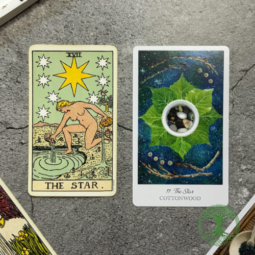 Hành Trình Tự Học Tarot: Những Bài Học Quý Giá Đúc Kết 118