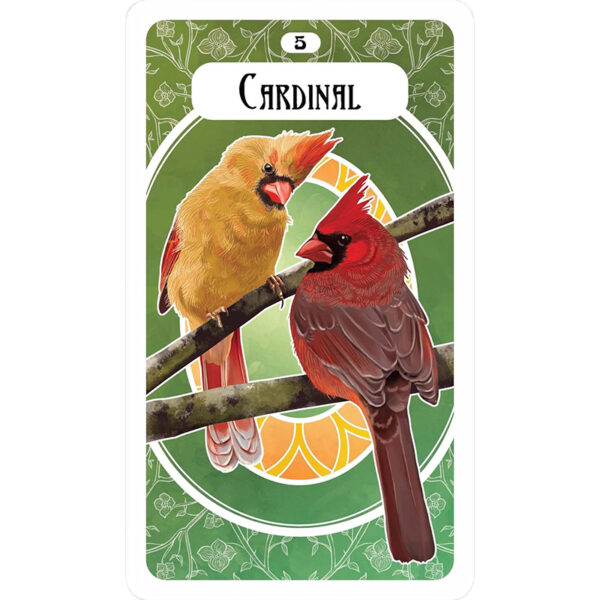 Avian Oracle 6