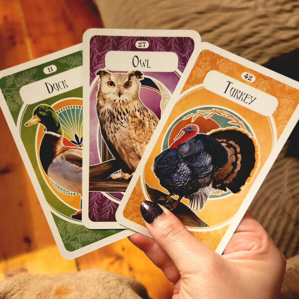 Avian Oracle 9
