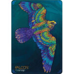 Echoes of The Wild Souls Oracle 3