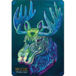 Echoes of The Wild Souls Oracle 4
