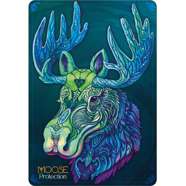 Echoes of The Wild Souls Oracle 4