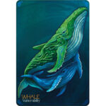 Echoes of The Wild Souls Oracle 6