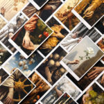 Haptic Tarot 15
