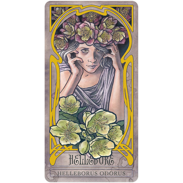 Lady Stirling’s Wicked Garden Oracle 10