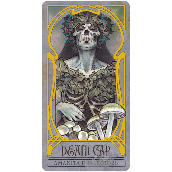 Lady Stirling’s Wicked Garden Oracle 9