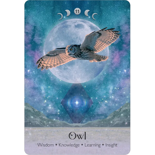 Lunar Magic Oracle 6