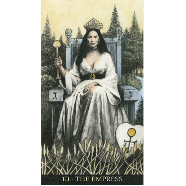Soul Seeker Tarot 3