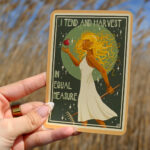 Sun Steeped Oracle 8