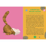 Cat Wisdom Oracle 13