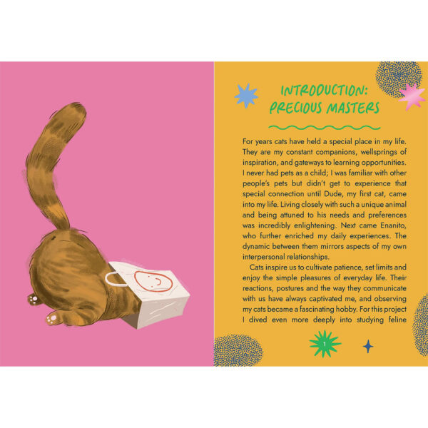 Cat Wisdom Oracle 13