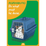 Cat Wisdom Oracle 3