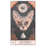Crossed Destinies Tarot 2