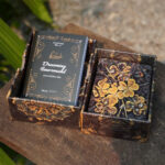 Dreaming Lenormand Viet Hoa 3