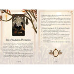 Seasons of the Witch Autumn Tarot 12