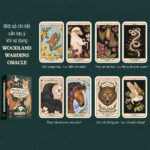 Woodland Wardens Oracle Viet Hoa 3